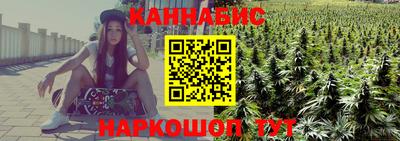 ГАЛЛЮЦИНОГЕННЫЕ ГРИБЫ Кингисепп