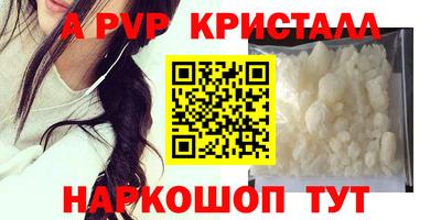 ГАЛЛЮЦИНОГЕННЫЕ ГРИБЫ Кингисепп