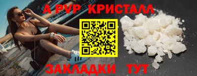 шишки Кинель