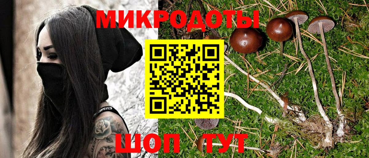 Псилоцибиновые грибы Psilocybine cubensis  Вход с VPN  закладка  Кропоткин 